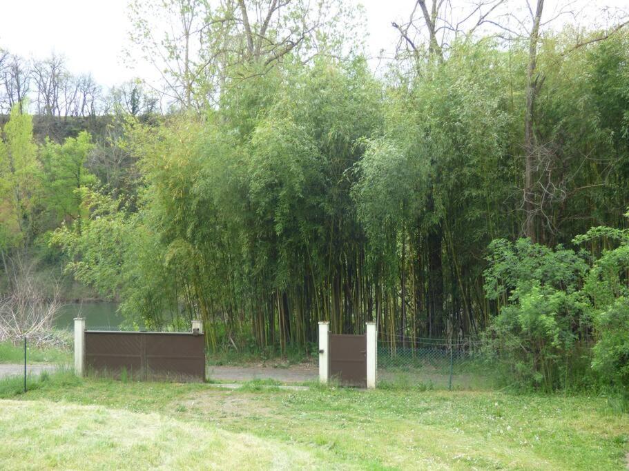 Gite O Fil Du Tarn Lescure-dʼAlbigeois Zewnętrze zdjęcie